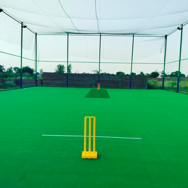 Cricket box